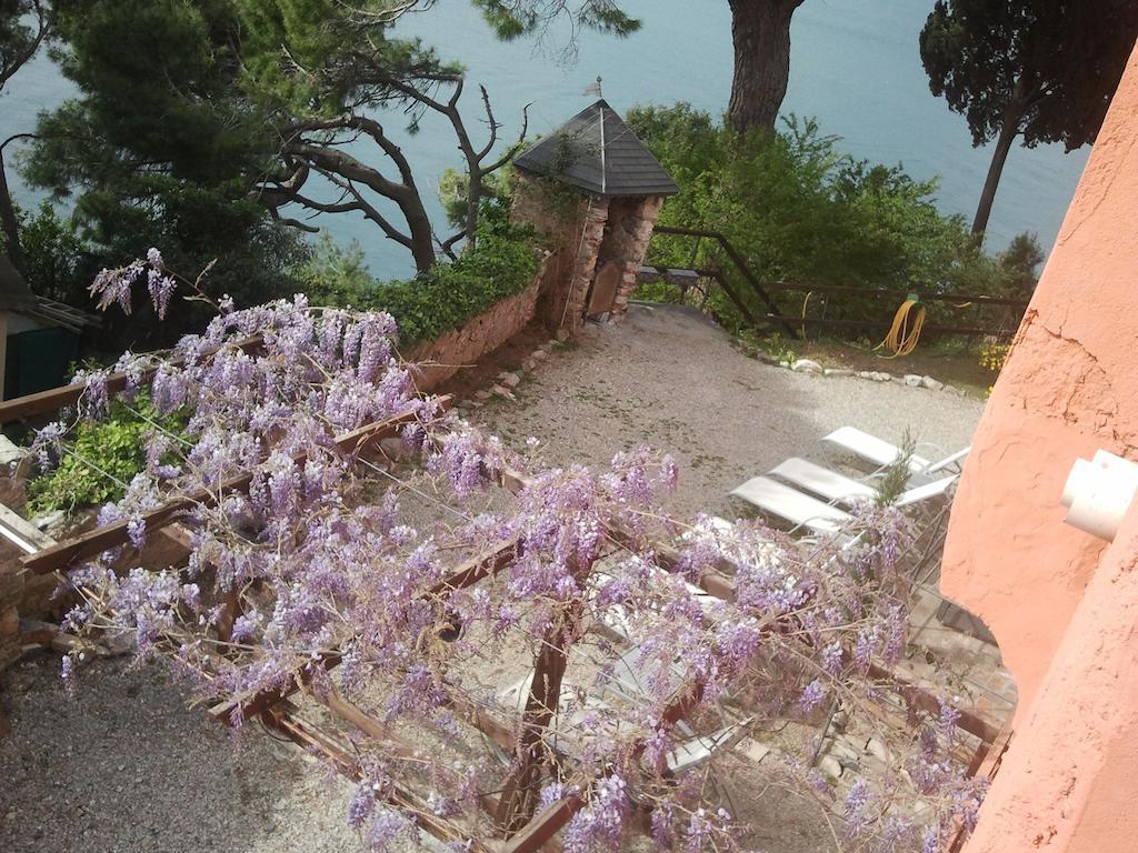 Stella Maris Camogli